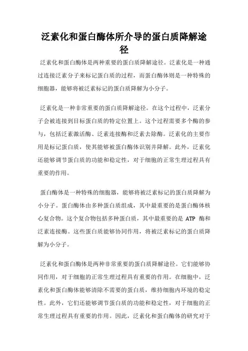 泛素化和蛋白酶体所介导的蛋白质降解途径