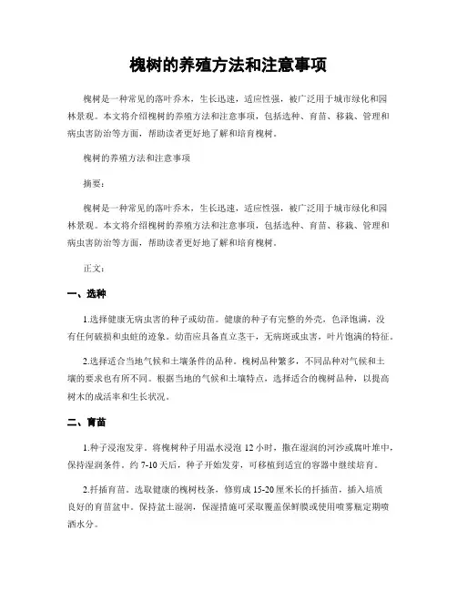 槐树的养殖方法和注意事项