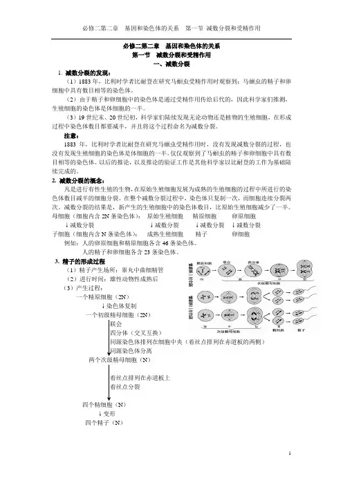 必修二第二章第一节减数分裂和受精作用