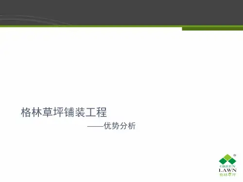 足球场人造草坪铺装流程 共31页PPT资料