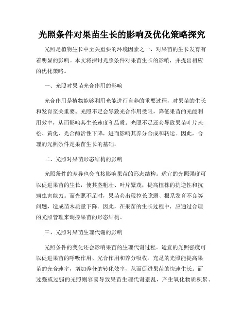 光照条件对果苗生长的影响及优化策略探究