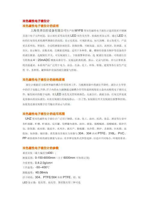 双色磁性电子液位计