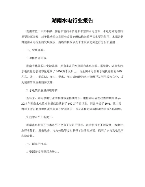 湖南水电行业报告