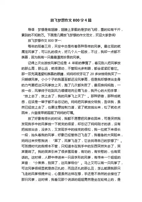 放飞梦想作文800字4篇