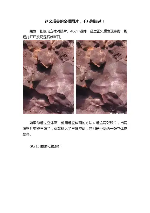 这么精美的金相图片，千万别错过！