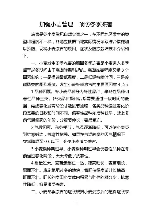 加强小麦管理 预防冬季冻害