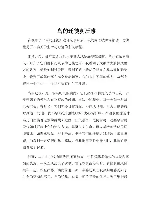 鸟的迁徙观后感