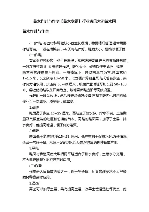 苗木作畦与作垄【苗木专题】行业资讯大湘苗木网