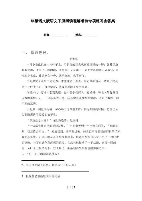 二年级语文版语文下册阅读理解考前专项练习含答案