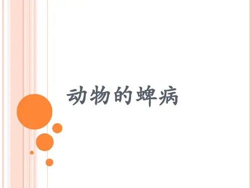 动物的蜱病