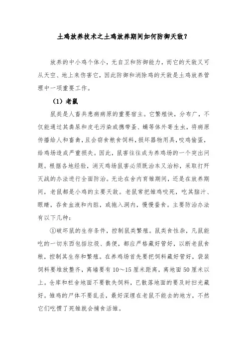 土鸡放养技术之土鸡放养期间如何防御天敌？