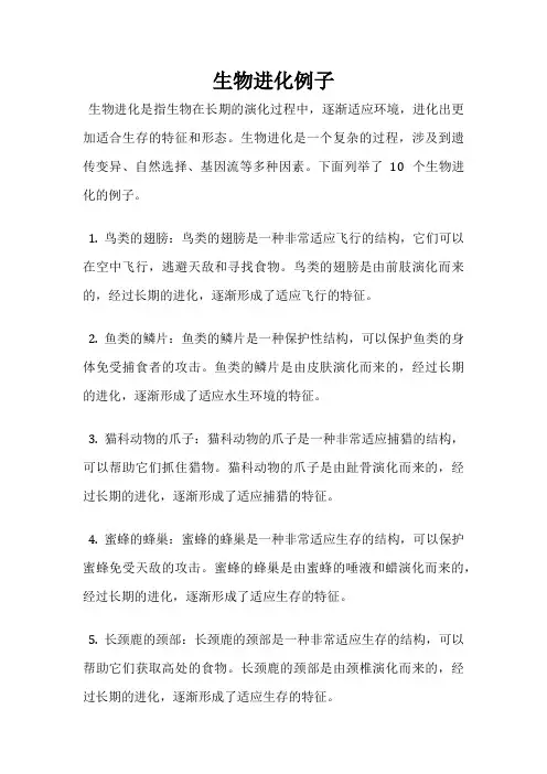 生物进化例子