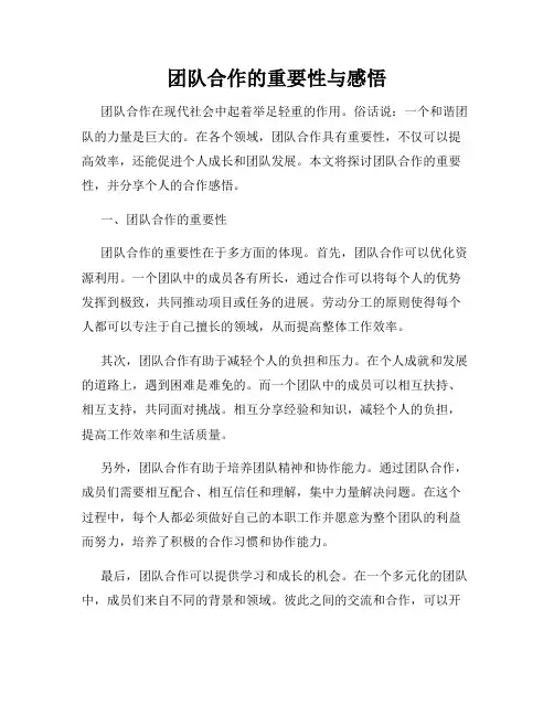 团队合作的重要性与感悟