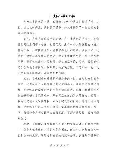 三支队伍学习心得