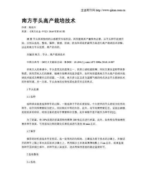 南方芋头高产栽培技术