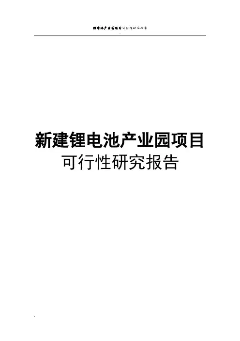 新建锂电池产业园建设项目可行性研究报告