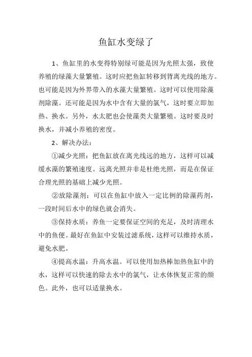 鱼缸水变绿了