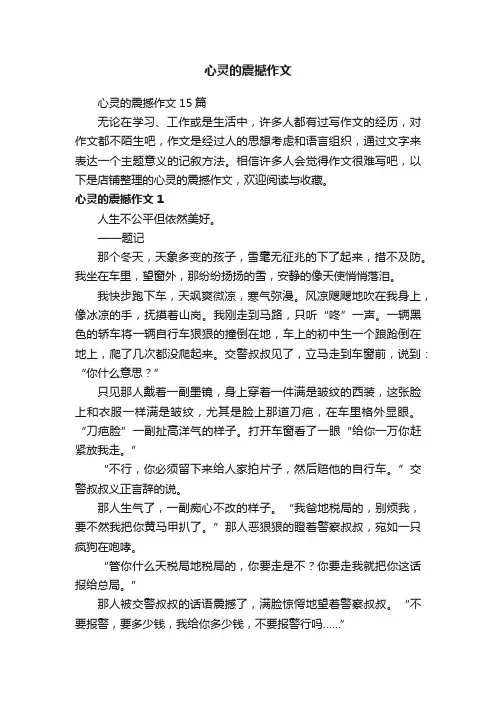 心灵的震撼作文