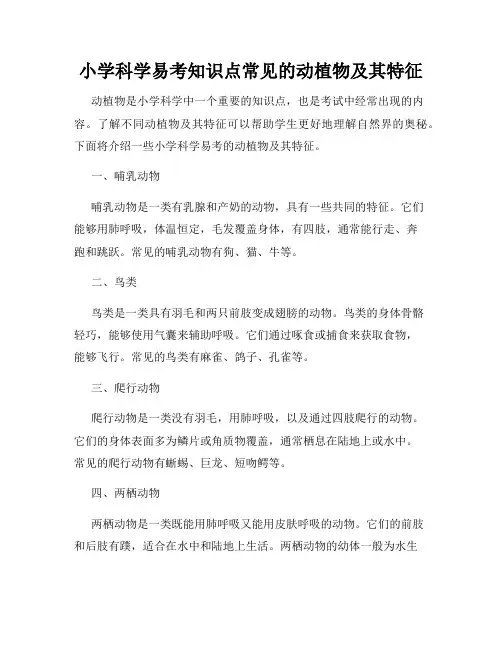 小学科学易考知识点常见的动植物及其特征