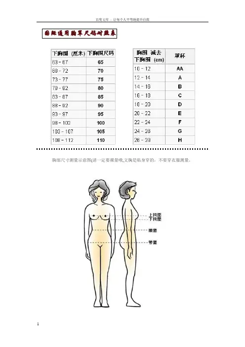 国际通用胸罩尺码对照表及其他