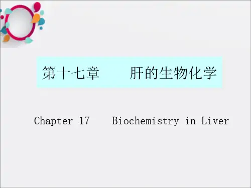 《肝的生物化学》PPT课件