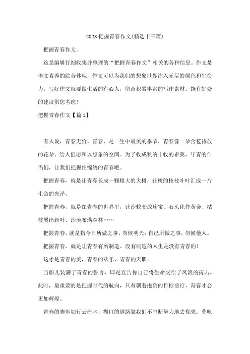 把握青春作文(十三篇)