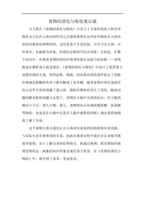 食物的消化与吸收观后感