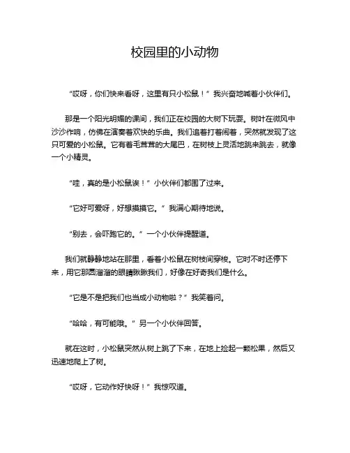 校园里的小动物