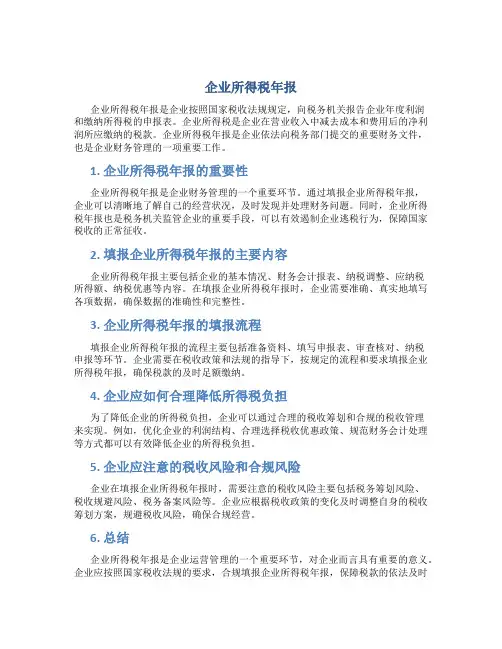 企业所得税年报
