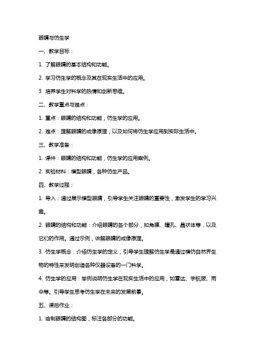 眼睛与仿生学完整教案