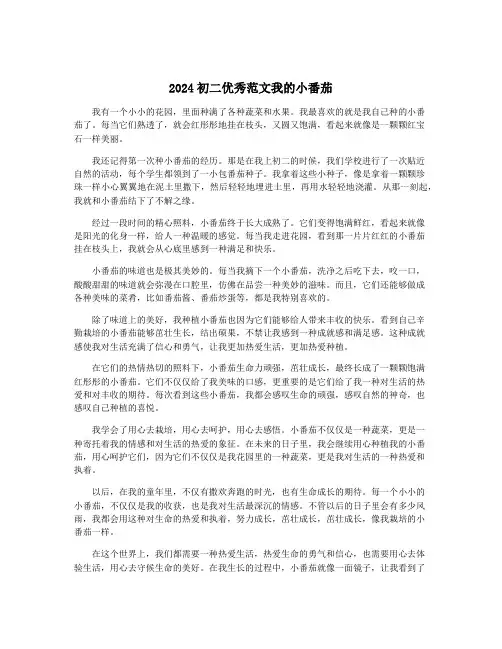 2024初二优秀范文我的小番茄