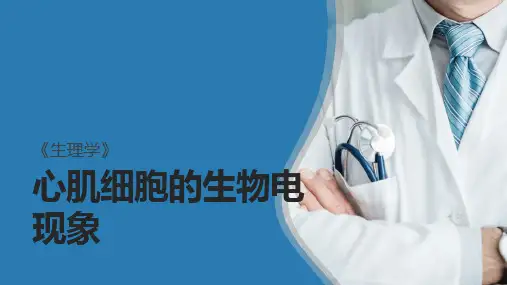 心脏生理(生理学课件)