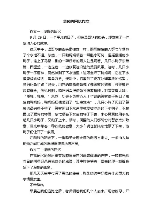 温暖的回忆作文6篇