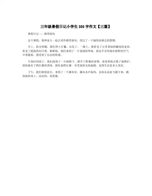 三年级暑假日记小学生350字作文【三篇】