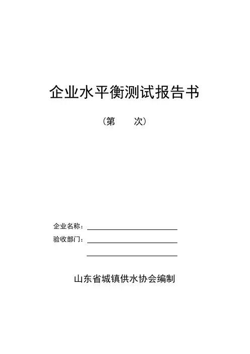 企业水平衡测试报告书(2009省厅)