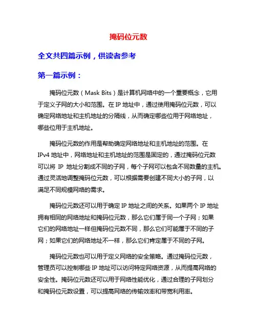 掩码位元数