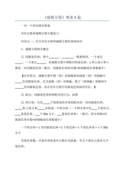 《减数分裂》教案9篇