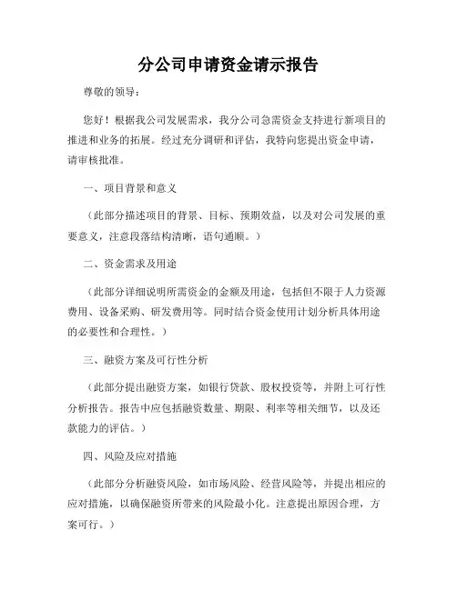 分公司申请资金请示报告