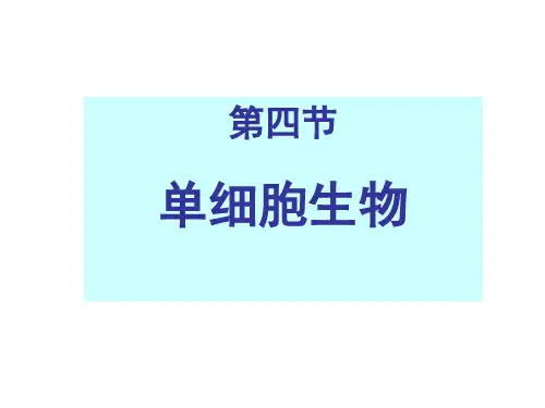 人教版生物七上2.2.4 单细胞生物   课件(共26张PPT)