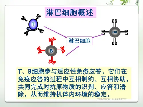医学免疫学第八版免疫细胞TGY
