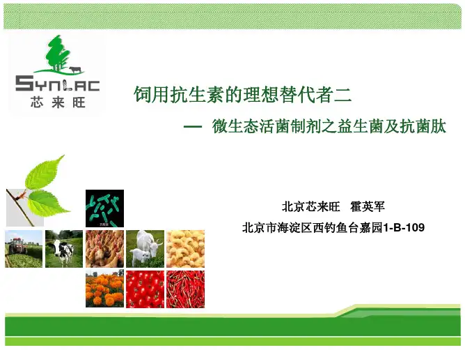 饲用抗生素的理想取代者2012