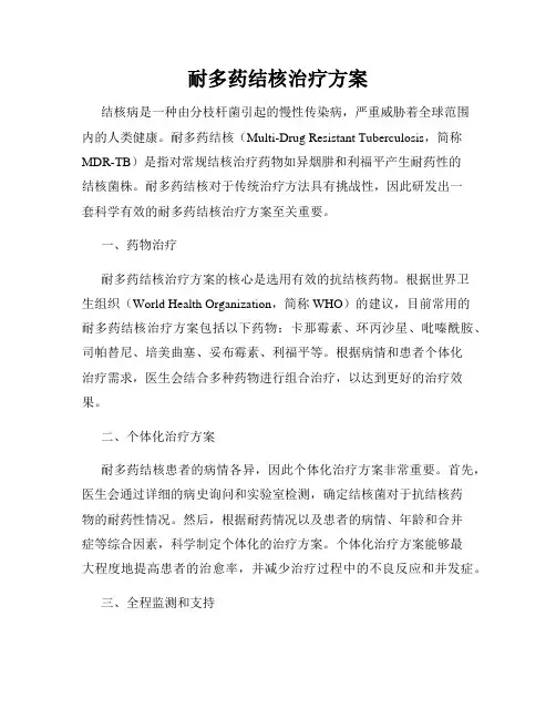 耐多药结核治疗方案