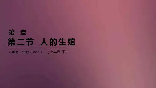 人教版生物学七年级下册 《人的生殖》课件