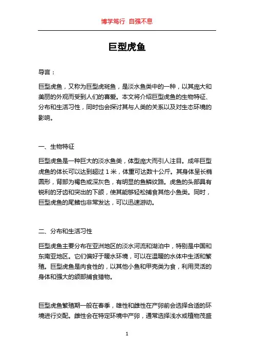 巨型虎鱼_精品文档