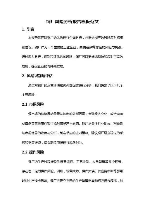 铜厂风险分析报告模板范文