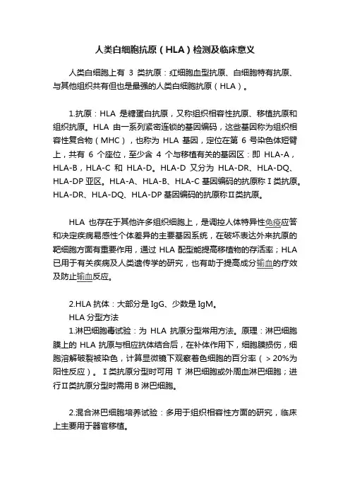 人类白细胞抗原（HLA）检测及临床意义