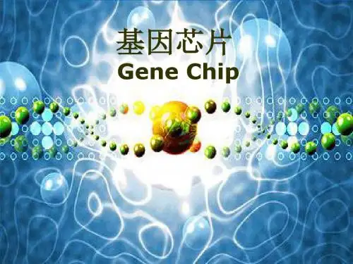 基因芯片