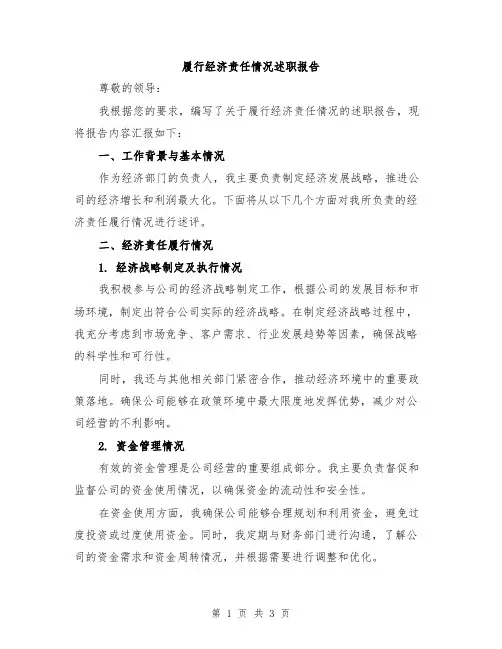 履行经济责任情况述职报告