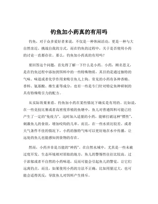 钓鱼加小药真的有用吗