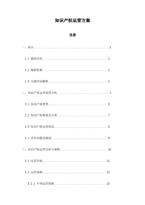 知识产权运营方案